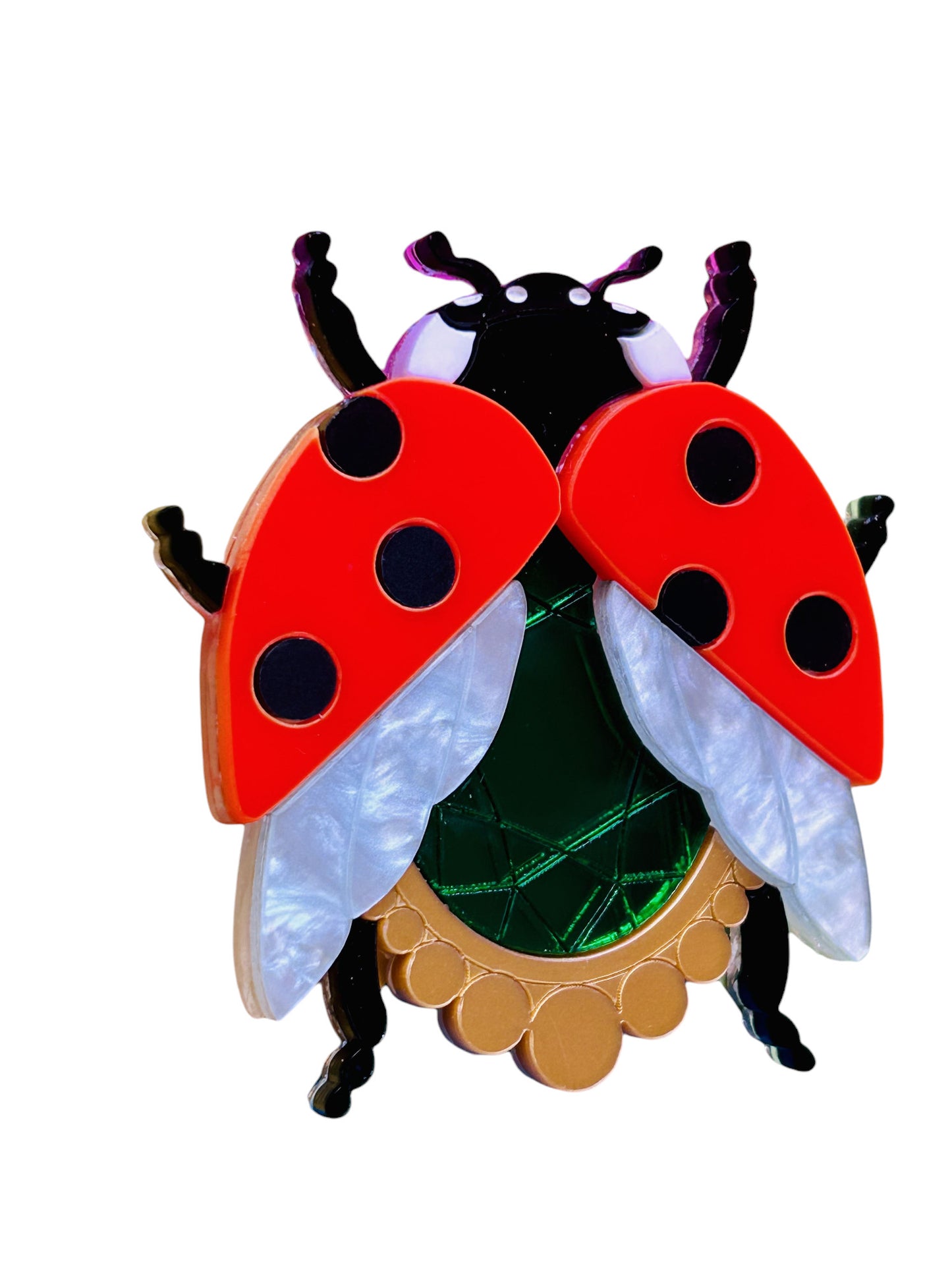 Insetti Vittoriani - Coccinella