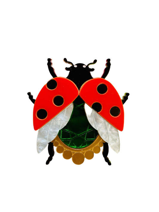 Insetti Vittoriani - Coccinella