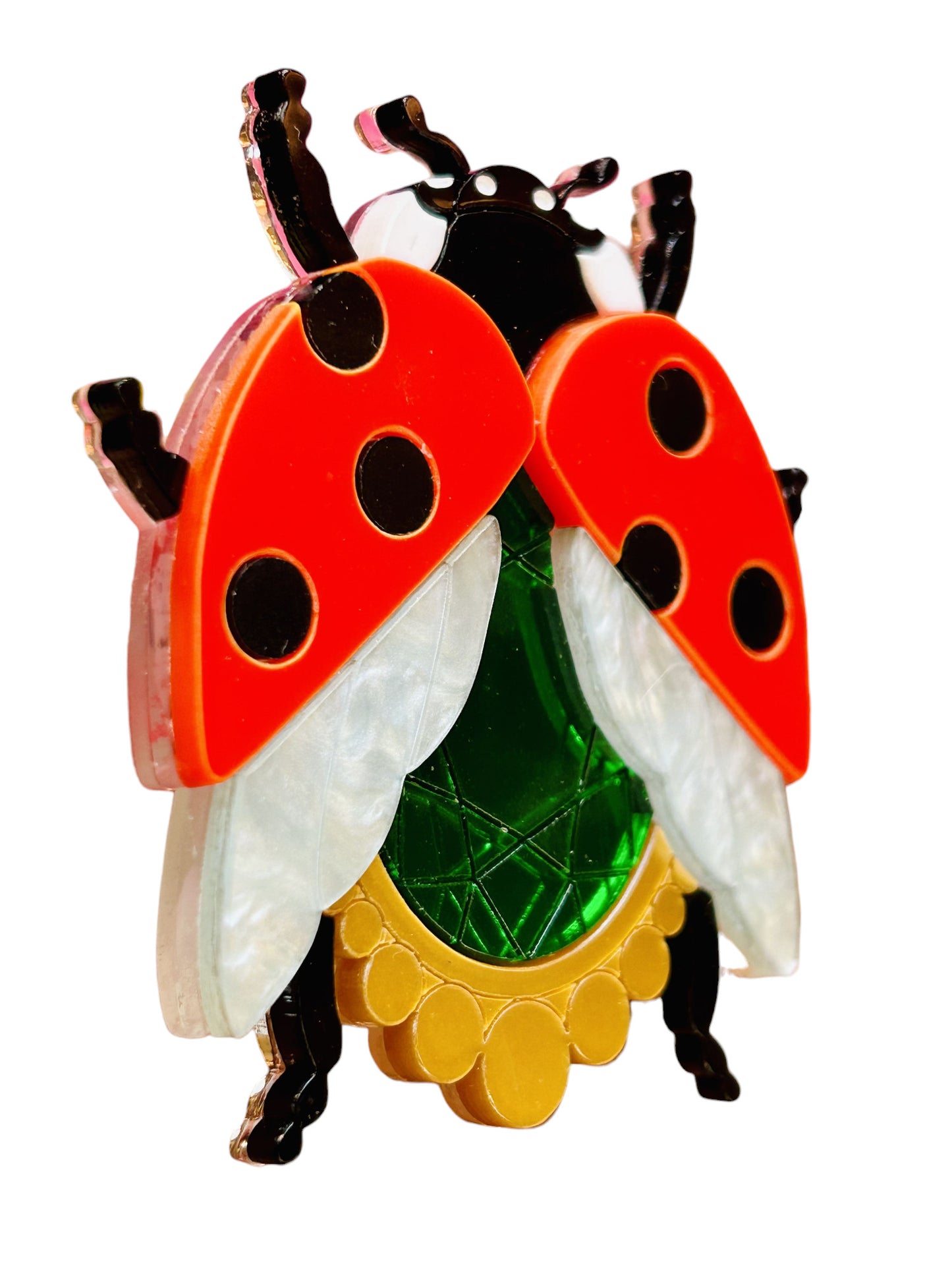 Insetti Vittoriani - Coccinella