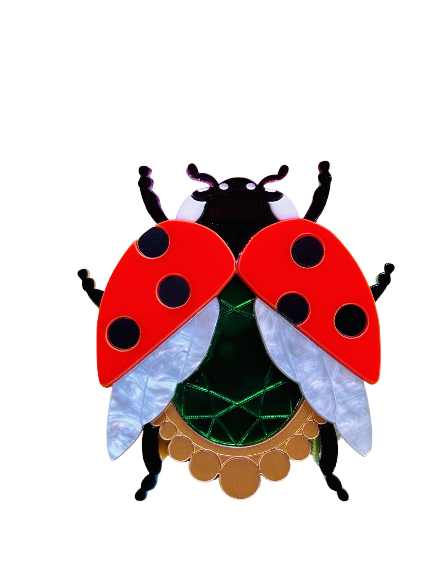 Insetti Vittoriani - Coccinella