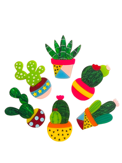 Piante Grasse - Set Mini Succulente in Vaso - Spilla