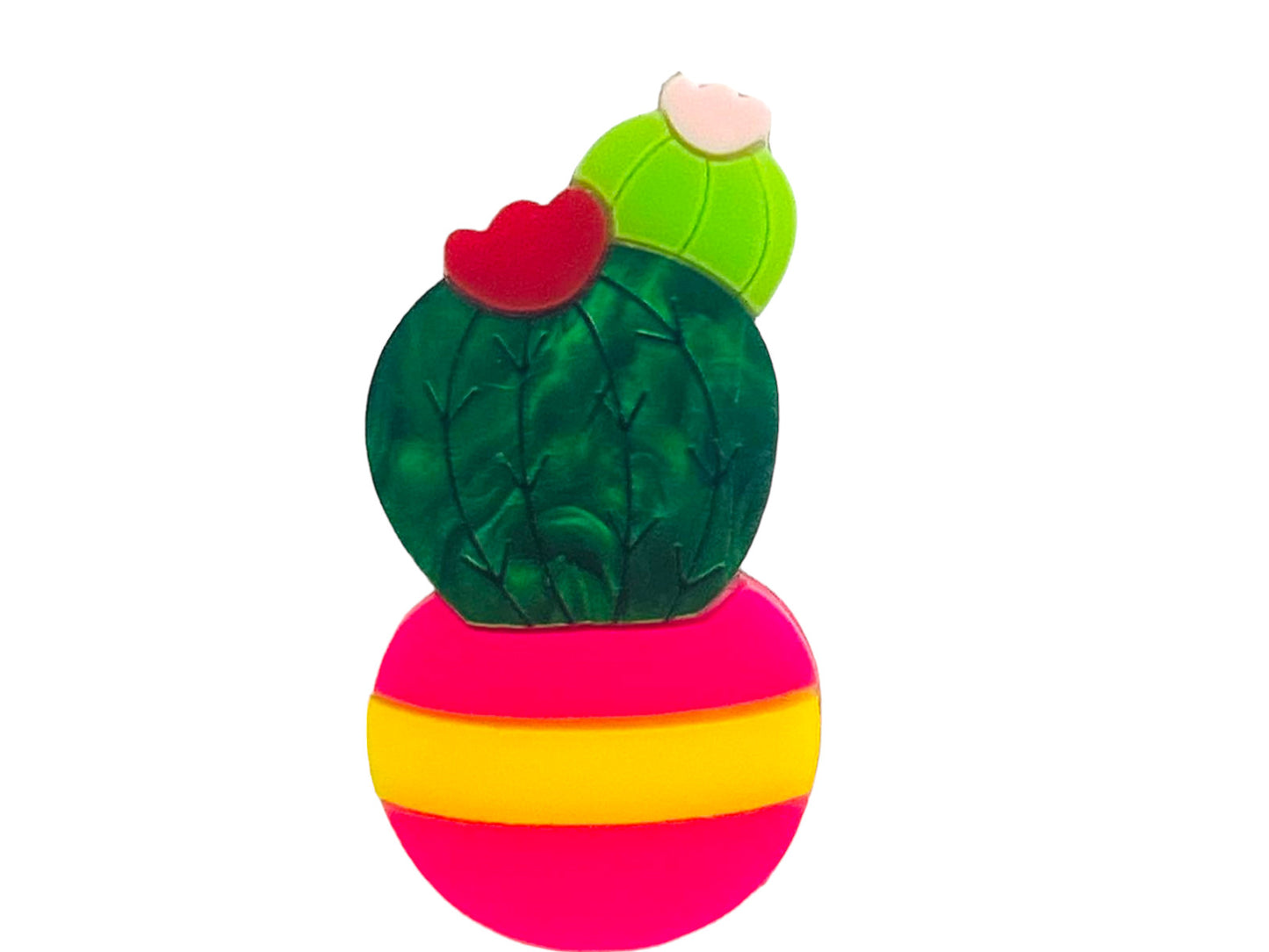 Piante Grasse - Set Mini Succulente in Vaso - Spilla