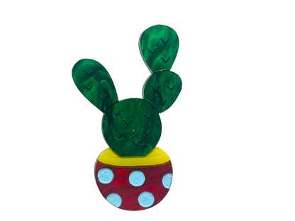 Piante Grasse - Set Mini Succulente in Vaso - Spilla