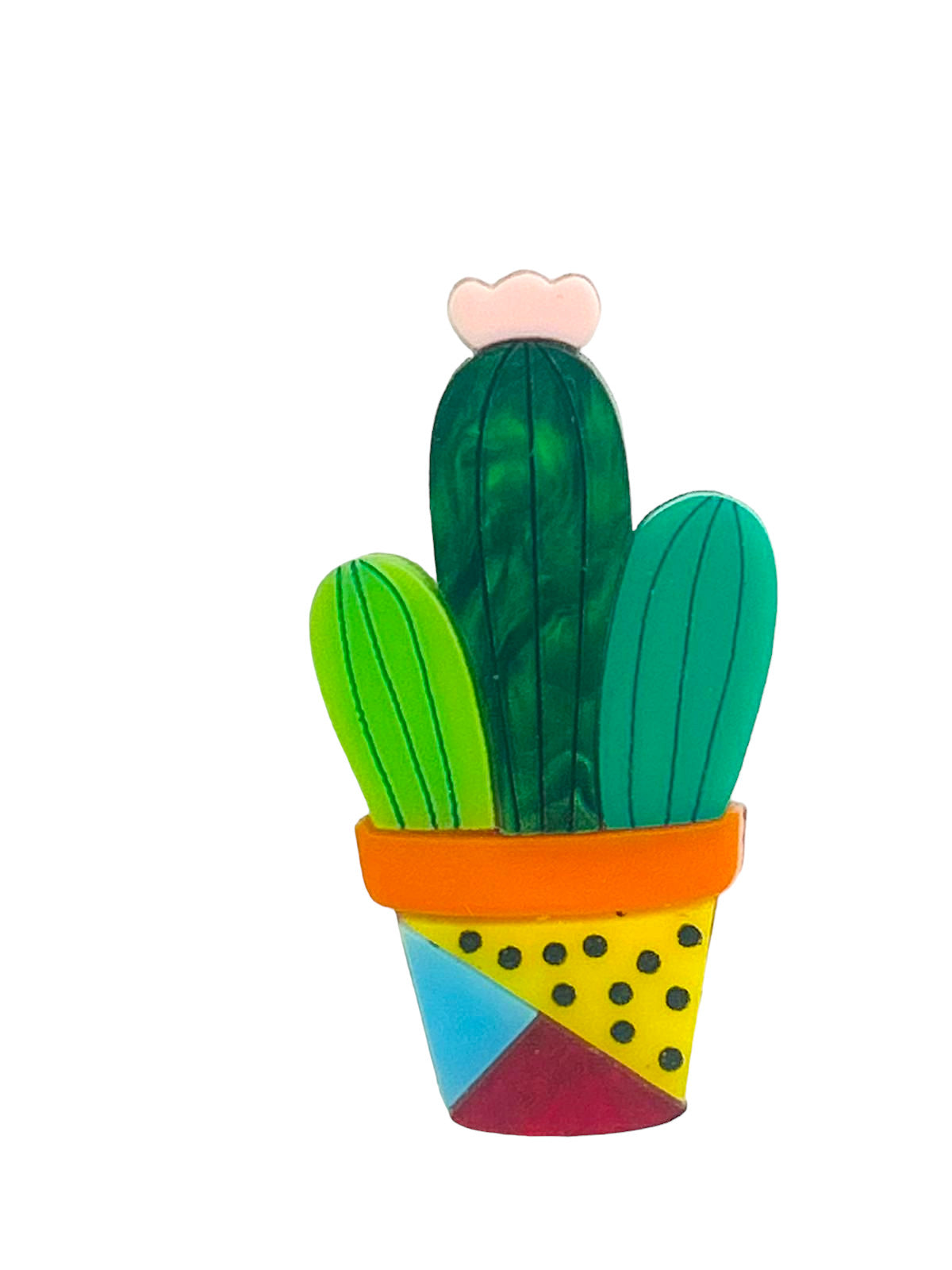 Piante Grasse - Set Mini Succulente in Vaso - Spilla