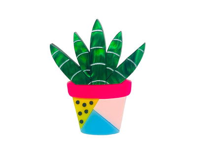 Piante Grasse - Set Mini Succulente in Vaso - Spilla