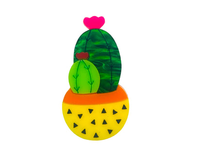 Piante Grasse - Set Mini Succulente in Vaso - Spilla