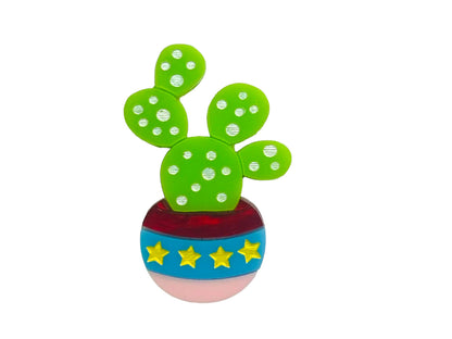 Piante Grasse - Set Mini Succulente in Vaso - Spilla